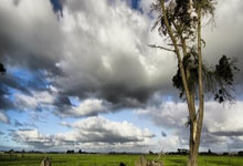 球盟会:14万人迎接大马丁返乡! 谈扑点秘诀:我知道对手怕我.