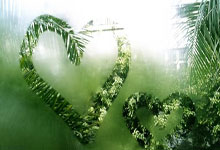 球盟会:巴哈父子:为摩洛哥而战.